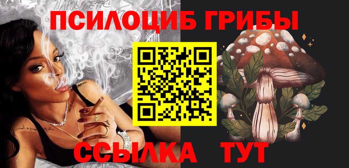Галлюциногенные грибы Psilocybine cubensis Луховицы